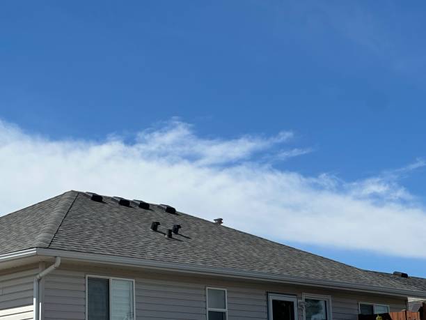 Siding in Orting, WA